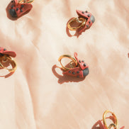 La Coccinella
